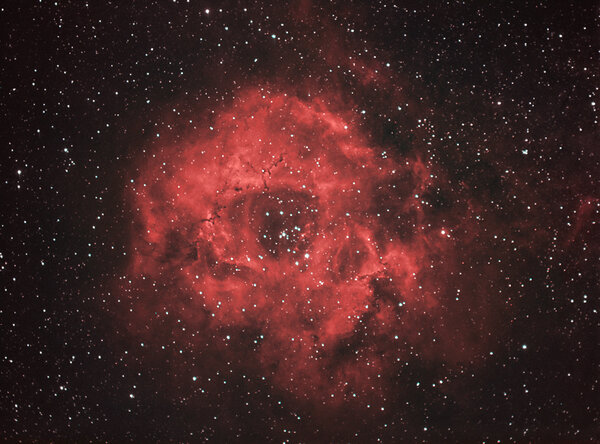 Rosette nebula. Reprocessed image