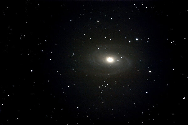 M81