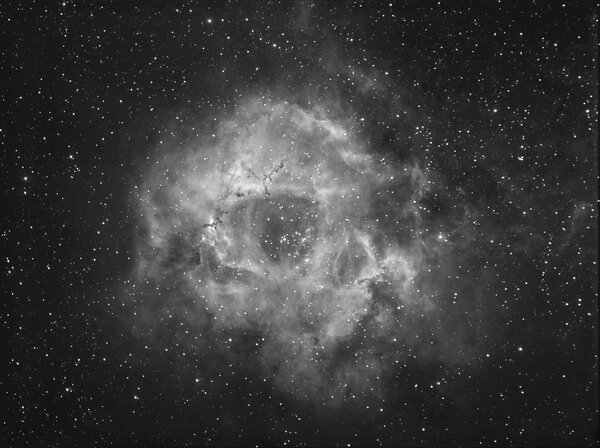 Rosette  nebula