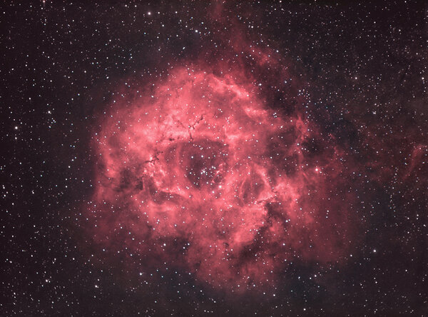 Rosette nebula