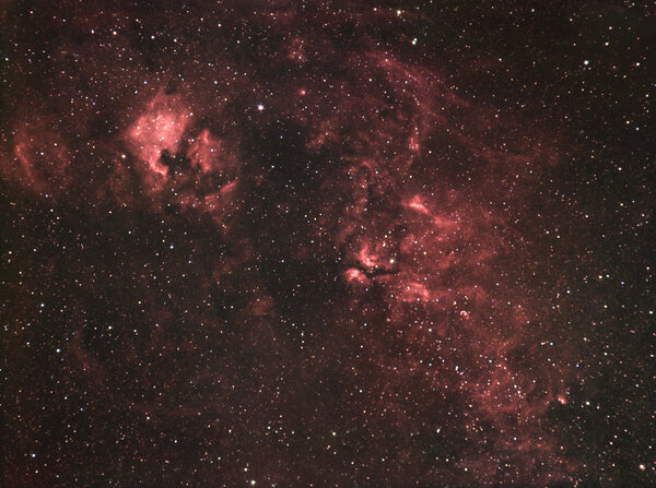 Cygnus nebulosity