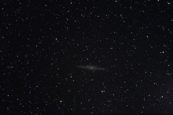 NGC 891