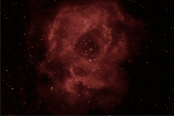 The Rosette Nebula