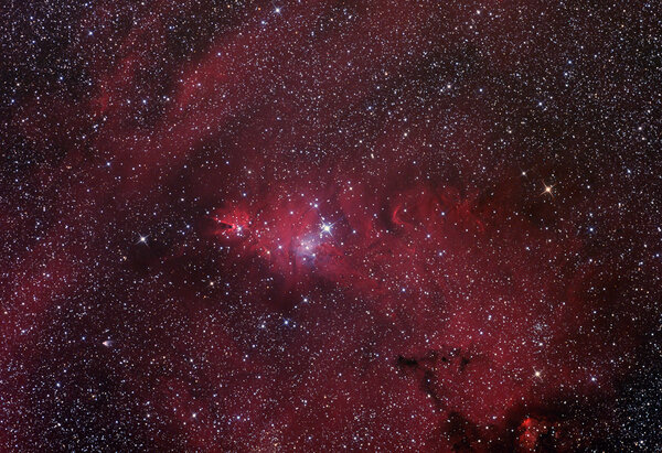 NGC2264 - Christmas Tree Cluster/Cone Nebula/Foxfur Nebula