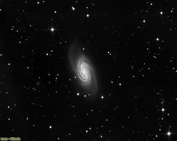 Γαλαξίας NGC2903 στον Λέοντα (μονόχρωμη)