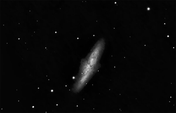 M82