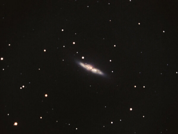 M 82