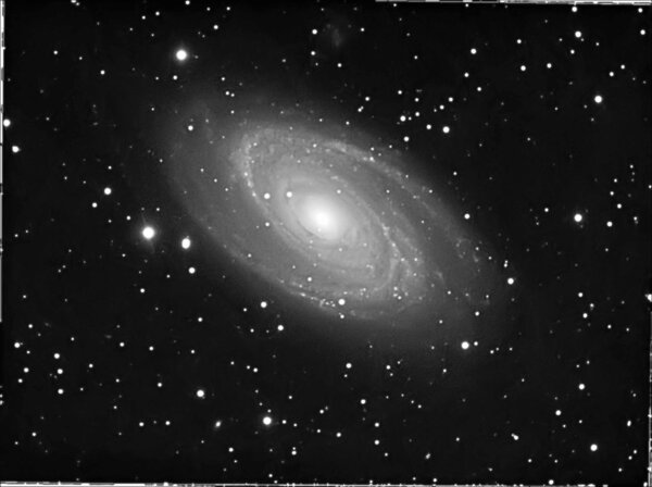 M81