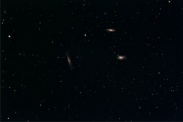"Leo Triplet" Of Galaxies (m65 M66 Ngc3628)