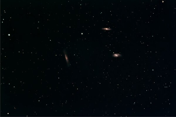 "Leo Triplet" Of Galaxies (m65 M66 Ngc3628)