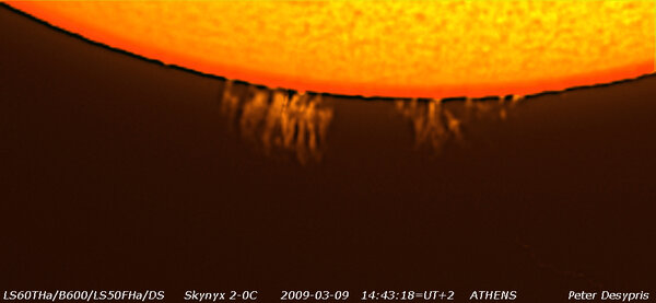 Prominences 09-03-2009