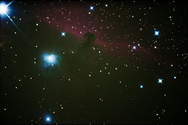 Horsehead