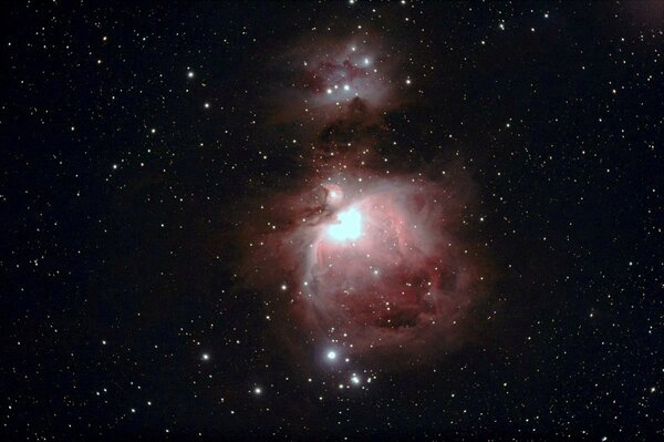 Orion Nebula