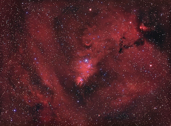 Cone Nebula Area