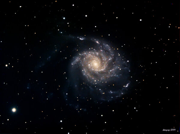 M101