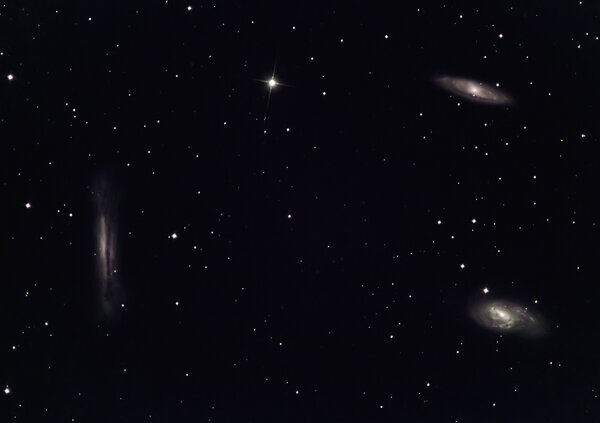 Leo Triplet - M 65 M 66 Ngc3628