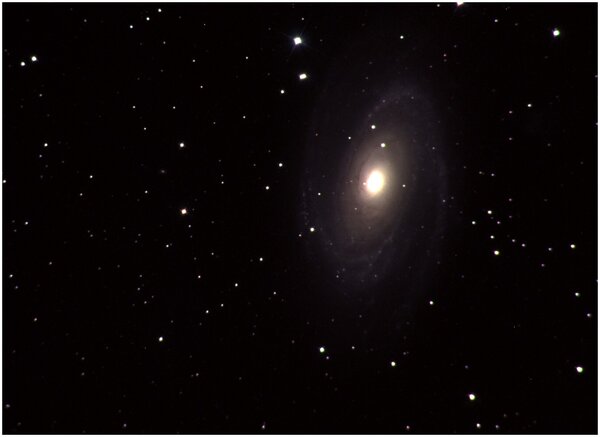 M 81