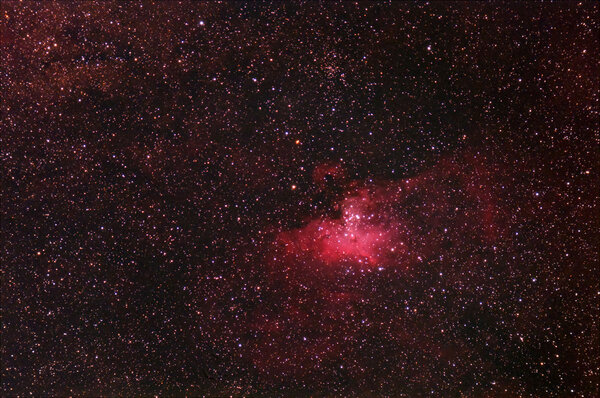 M16 Widefield