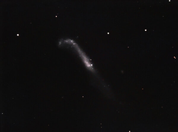 Ngc 4656 In Color.The 'hockey stick' Galaxy
