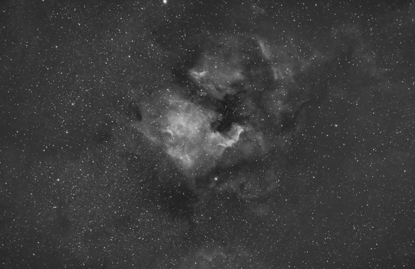 Ngc 7000 ''Νorth America Nebula'' (widefield)