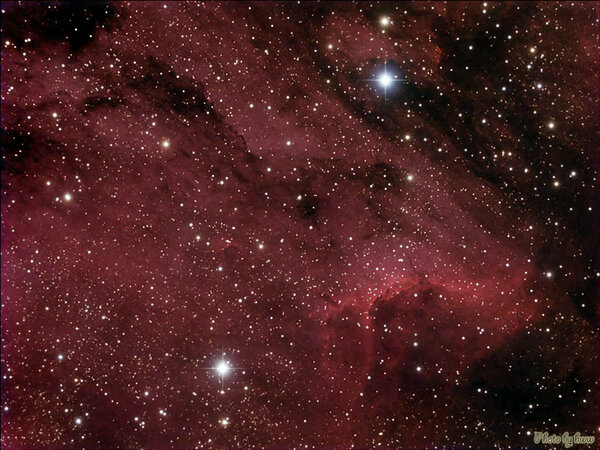 IC 5070 - Pelican Nebula (Photo from hqq)