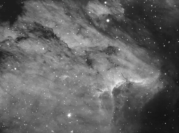 Pelican Nebula