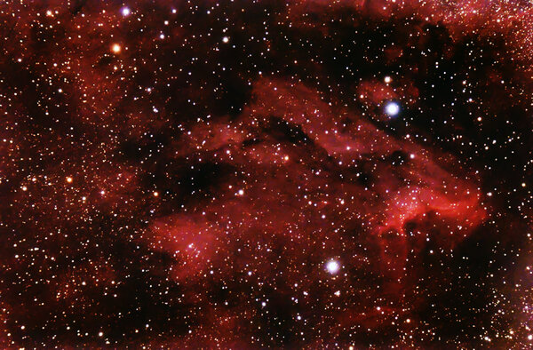 Pelican Nebula (ic5070)
