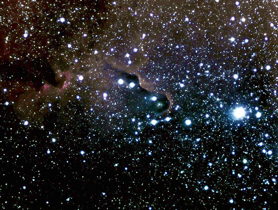Elefant''s Trunk Ic1396 Constellation Cepheus