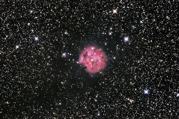 Ic 5146 Cocoon Neb.