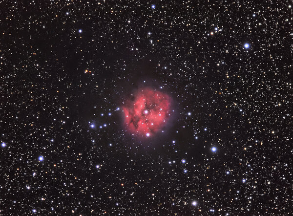 Cocoon Nebula