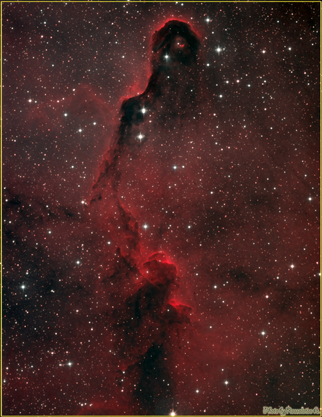 Νεφέλωμα Προβοσκίδα - IC1396 (Color)