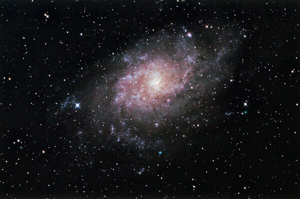 M33