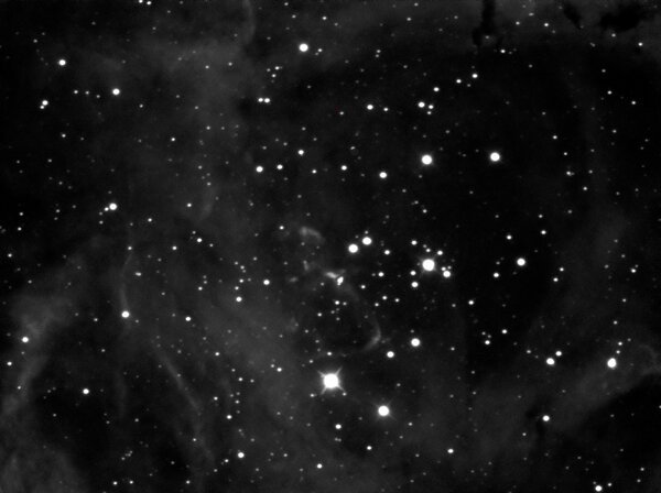 Ngc  2239