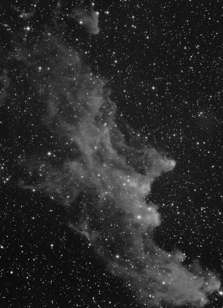 Ic 2118 : The Witch Head Nebula (lum)