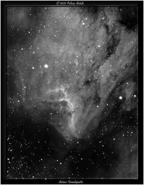 Ic 5070 The Pelican Nebula (ha)