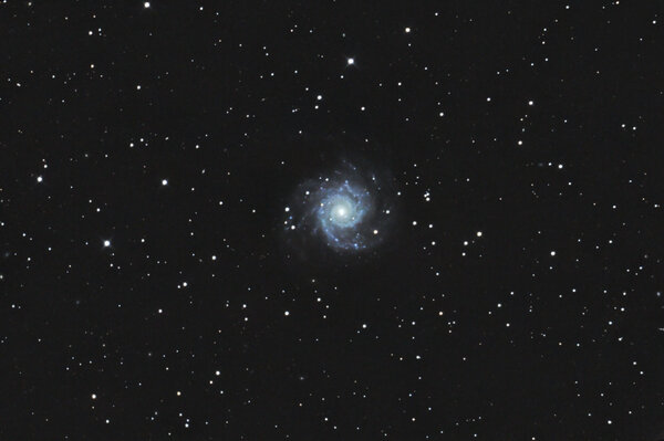 M74