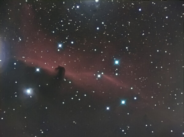 Horsehead