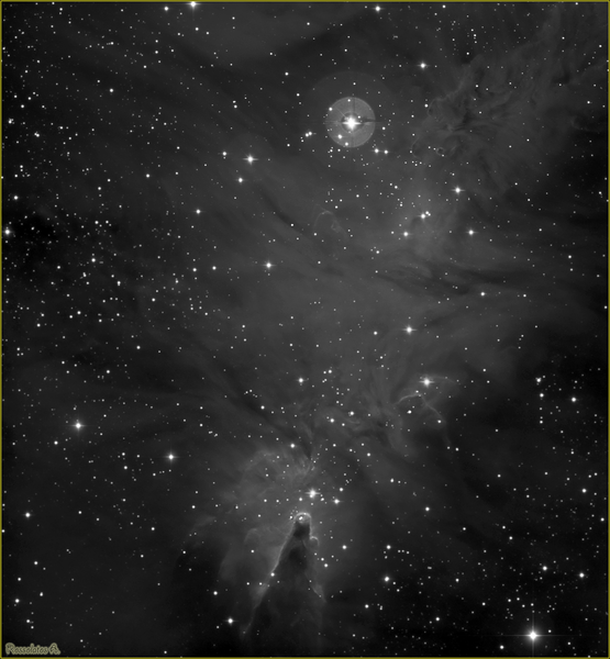 Χριστουγεννιάτικο Δέντρο - NGC2264 (Ηa)