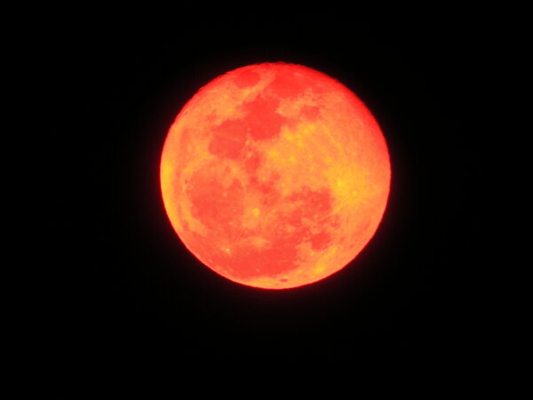 New Year Red Moon
