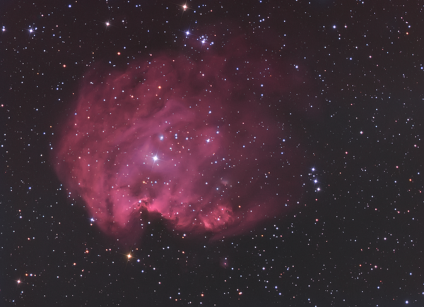 Ngc - 2174 Monkey Nebula