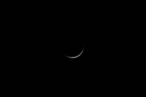 Crescent Moon - 18 Jan 2010