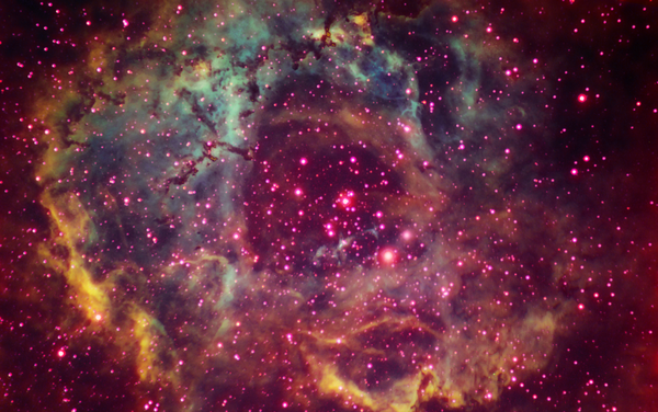 Rosete nebula ( Workshop of A.V.A.T.)