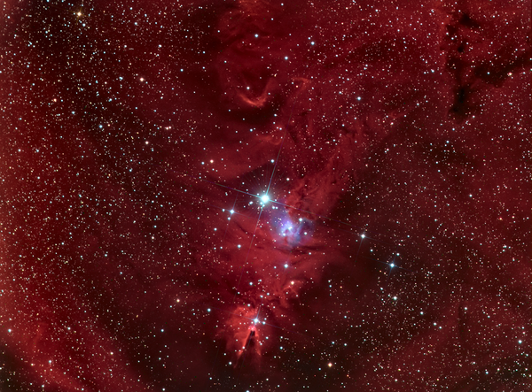 Η γούνα της αλεπούς - Ngc2264