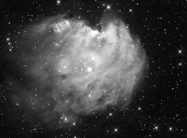 Ngc-2175 Monkey Head Nebula
