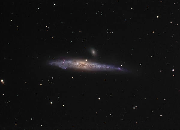 Ngc 4631 - The Whale & The Pup
