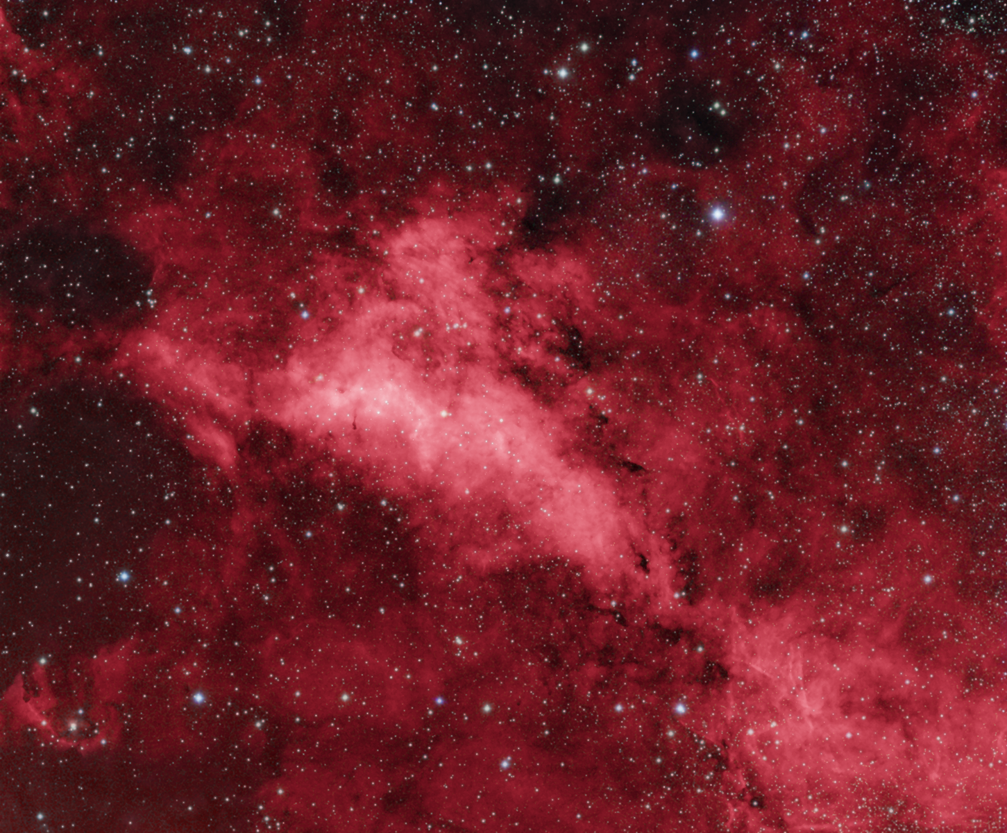 Dolhpin Nebula In Cygnus Revisited
