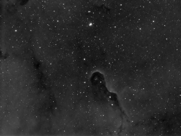 Ic1396 Elephant Trunk (detail) Ha