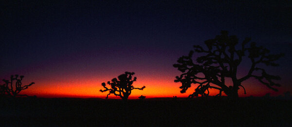 High Desert Sunset