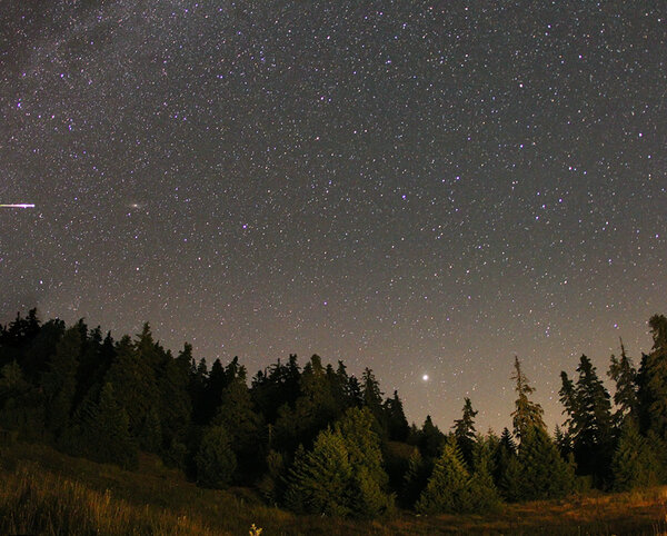 20100813perseids