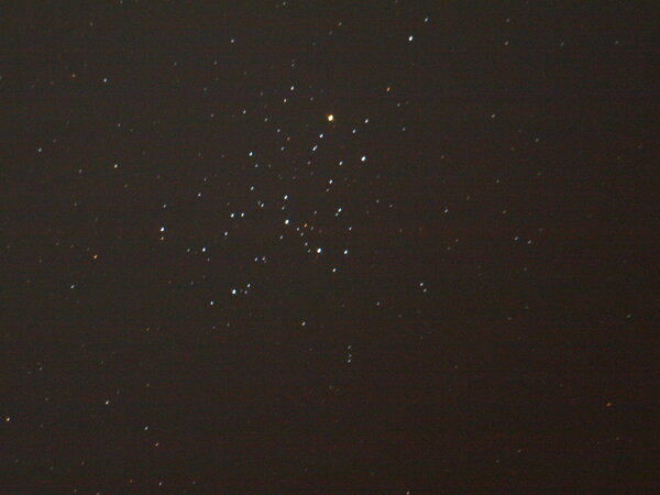 Butterfly Cluster